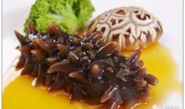 海参爆料原神视频大全,原神视频大全深度解析