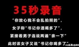 女下属爆料录音视频大全,职场潜规则与权力滥用真相揭露
