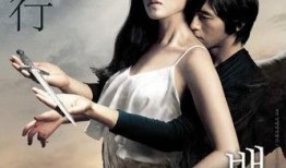 白夜行韩国版在线观看,跨越黑暗的救赎之旅